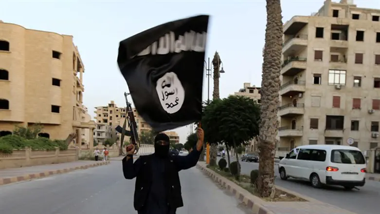 ISIS terrorist in Syria (file)