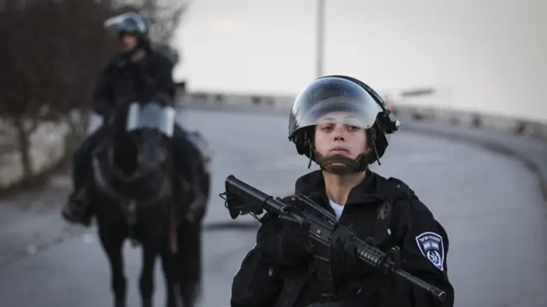 Border Police (file)