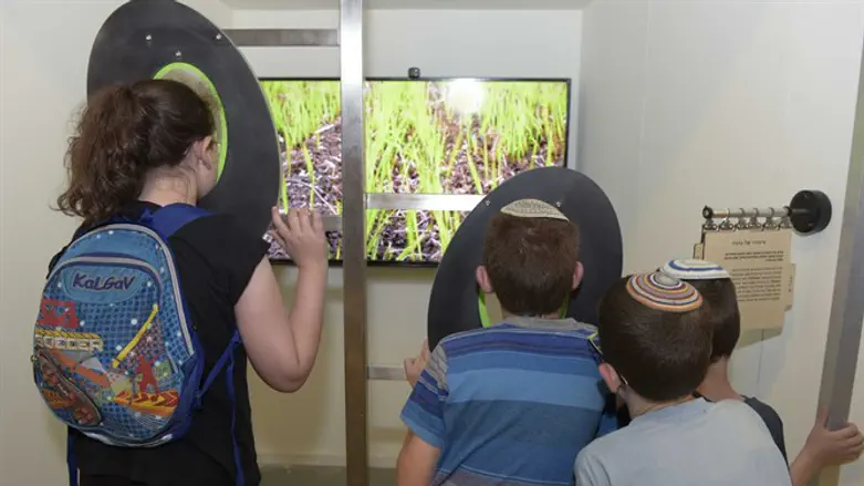 בילוי משפחתי במוזיאון המדע