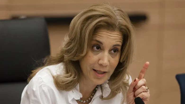 MK Aliza Lavie initiated the bill