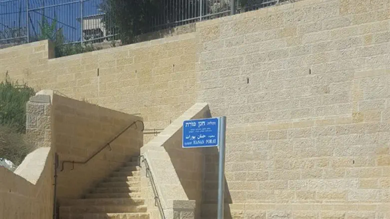 מעלה חנן פורת