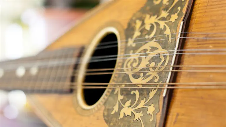 Mandolin (illustration)