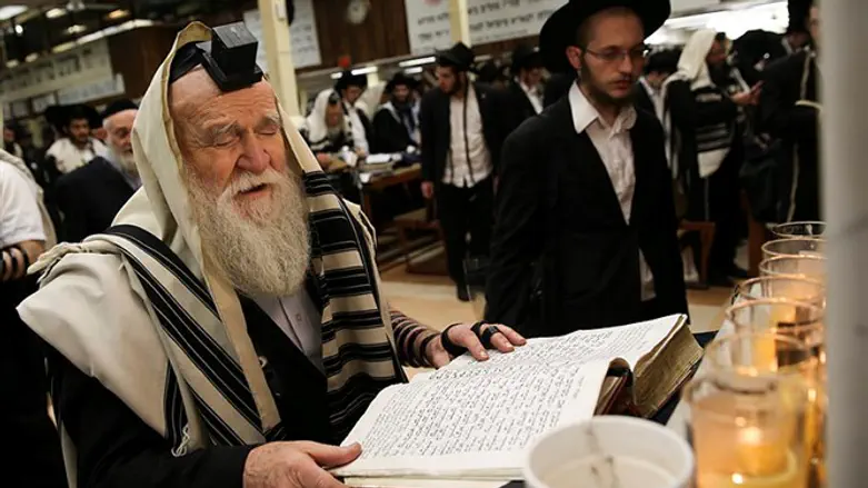 חסידי חב"ד בארה"ב