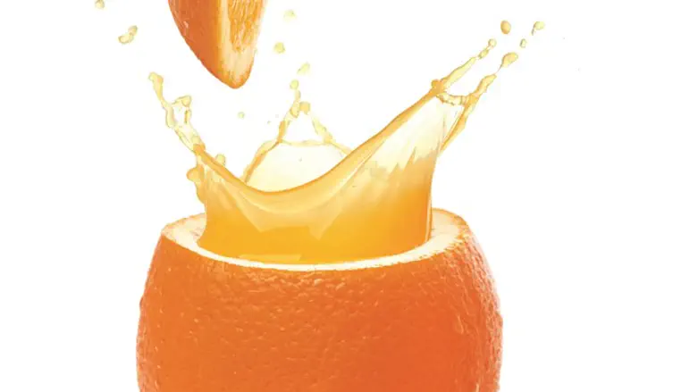 הכי כיף בקיץ