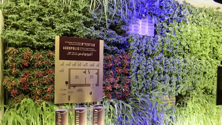 היכרות נרחבת עם עולם החי והצומח. מתוך התערוכה