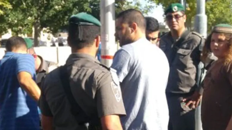 Border Police arrest Lehava protesters