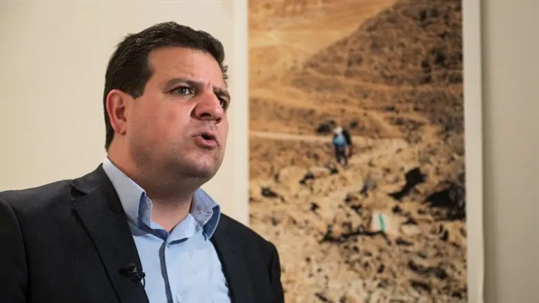 Joint Arab list head Ayman Odeh