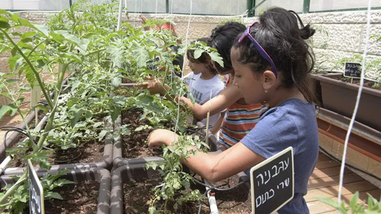 חוויה לילדים