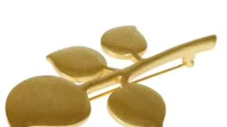 עלעלים מתוכשטים, אפרודיטה