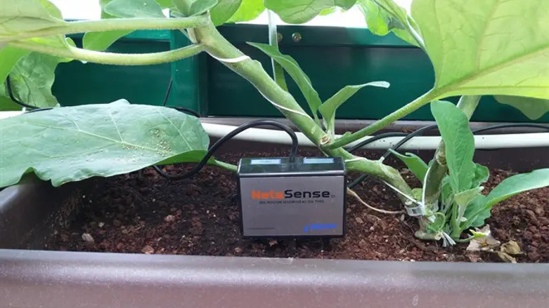 הנדסה חקלאית