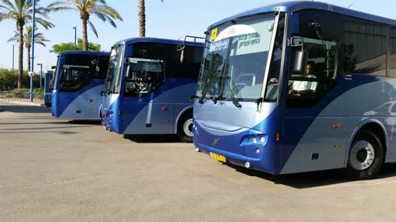 האוטובוסים החדשים