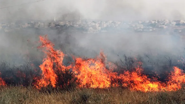 Fire (illustrative)
