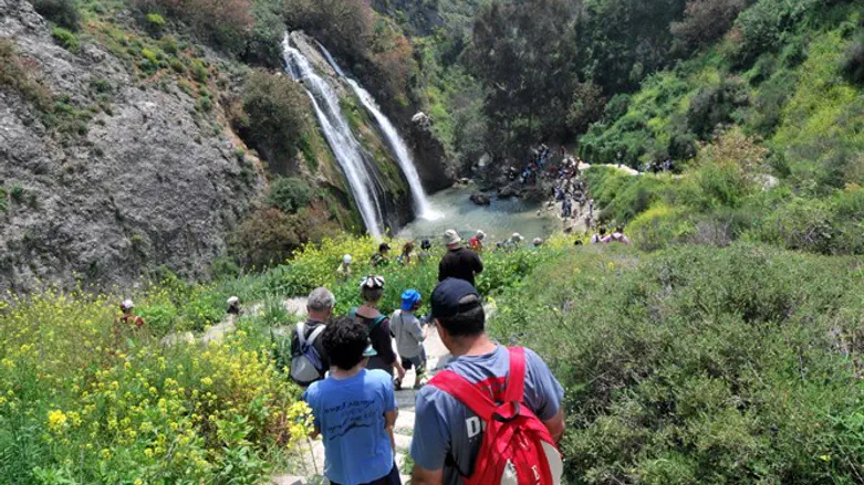 מטיילים בשמורת נחל עיון