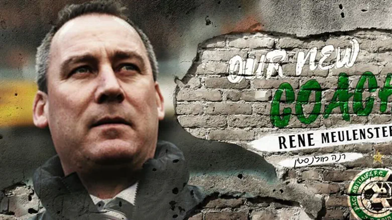 רנה מולנסטיין, מאמנה החדש של מכבי חיפה