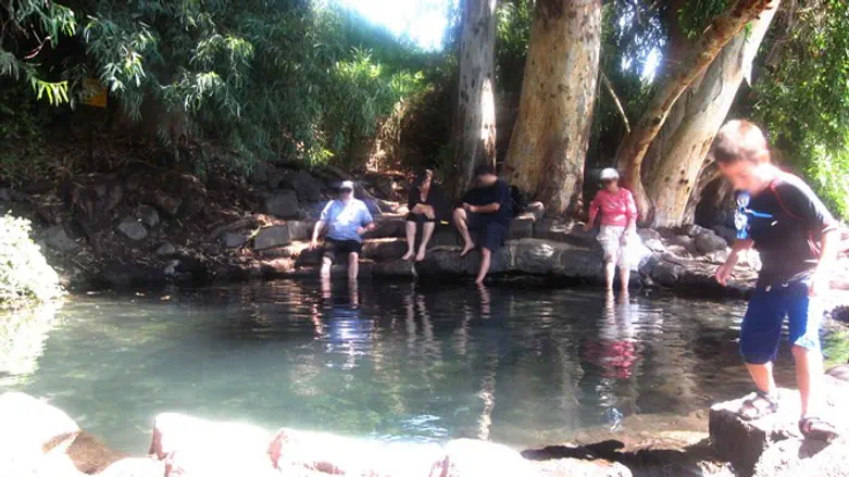 הבריכה העגולה