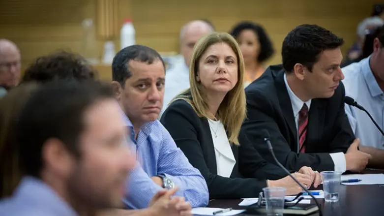 מנכ"לית יוניליוור בדיון בוועדת הביקורת של הכנסת