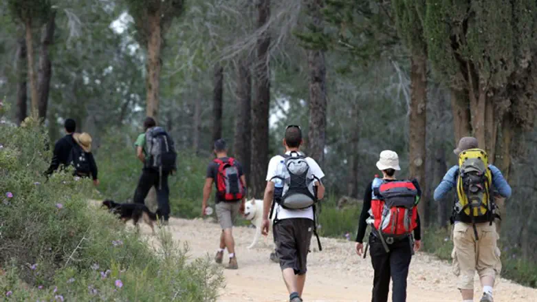 תלמידים במהלך טיול. אילוסטרציה