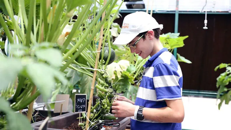 חקלאות כבילוי