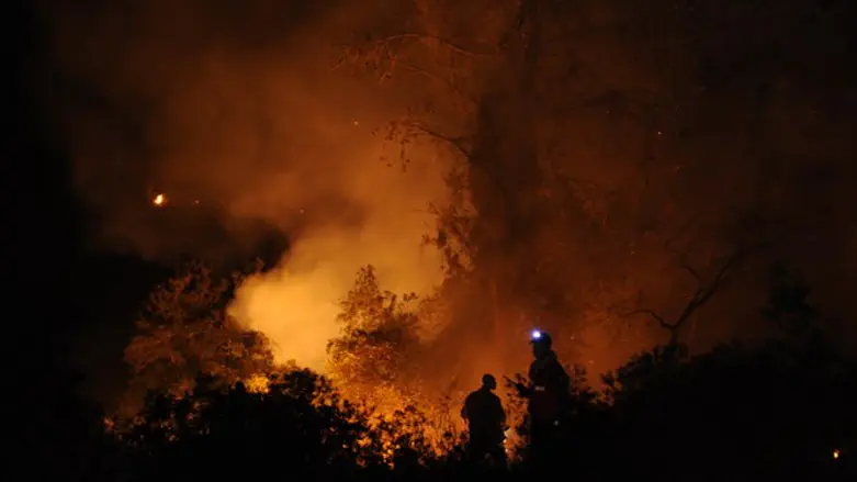 אילוסטרציה