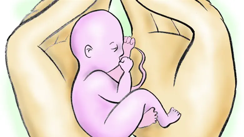 ללדת כל יום מחדש