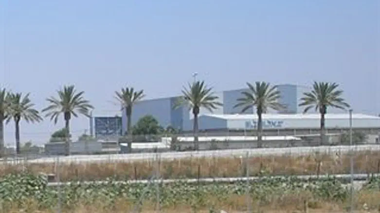 ישמרו שבת בנתב"ג?