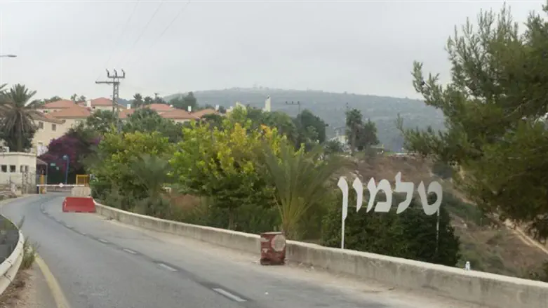 מה ההתרגשות? בסך הכול עכבר הכפר עבר לעיר.  טלמון