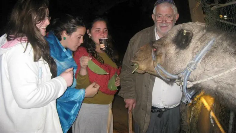 אריה בר נתן ז"ל