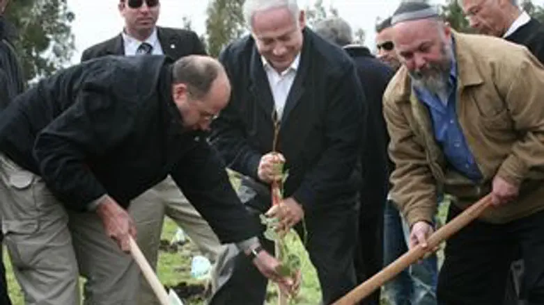 נתניהו נוטע עץ בגולן. ארכיון