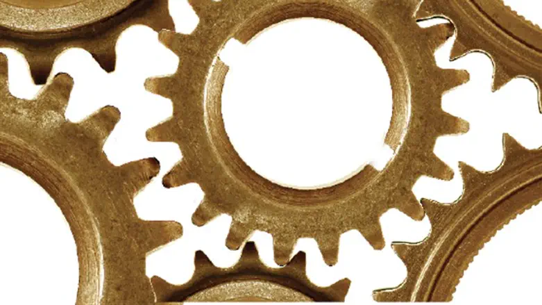 פתאום חלקי הפאזל מתחברים