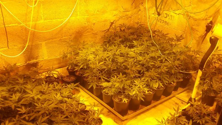 מאאות שתילים, מערכות השקיה ותאורה