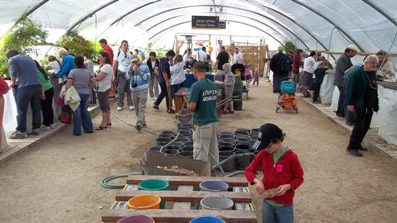 סינון עפר  בעמק צורים