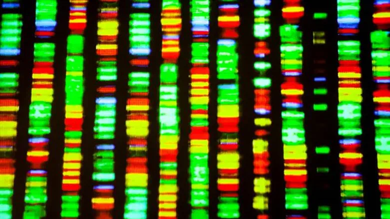 רצף DNA