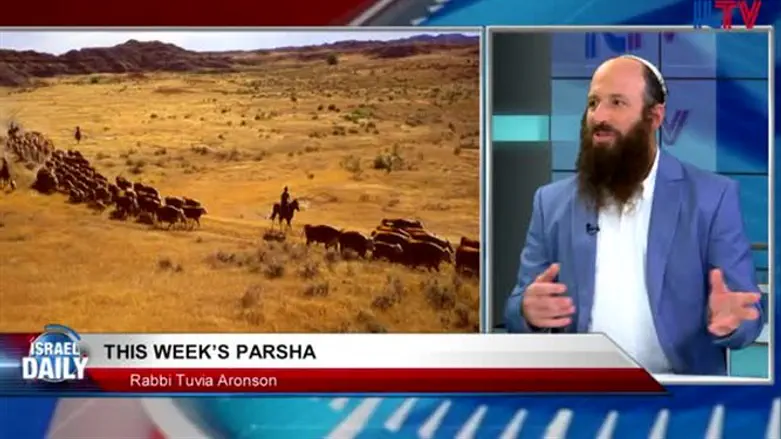 Insights in Parshat Shoftim