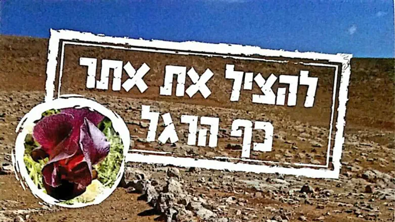 "הפגיעה תהיה קשה"