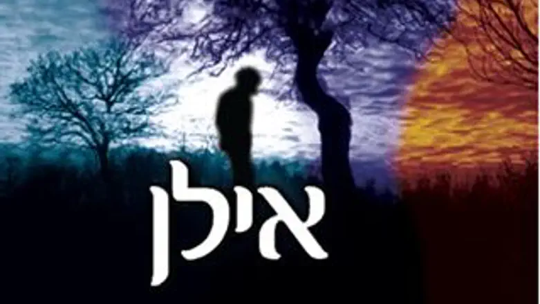 אילן, עטיפת הסינגל