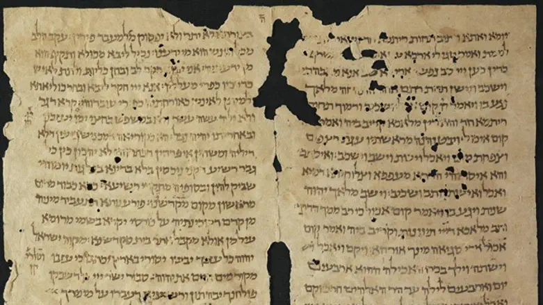 המסמכים שנרכשו