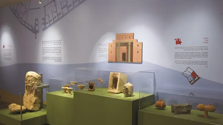 העצמות שהתגלו הן של בעלי חיים כשרים בלבד. ממצאים מתוך התערוכה