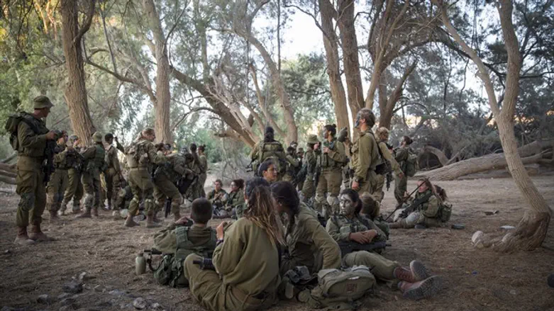 עשרה גדודים. לוחמות קרקל