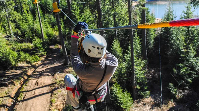 למצוא כל הזמן את האיזון