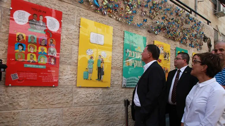 תערוכה חדשה