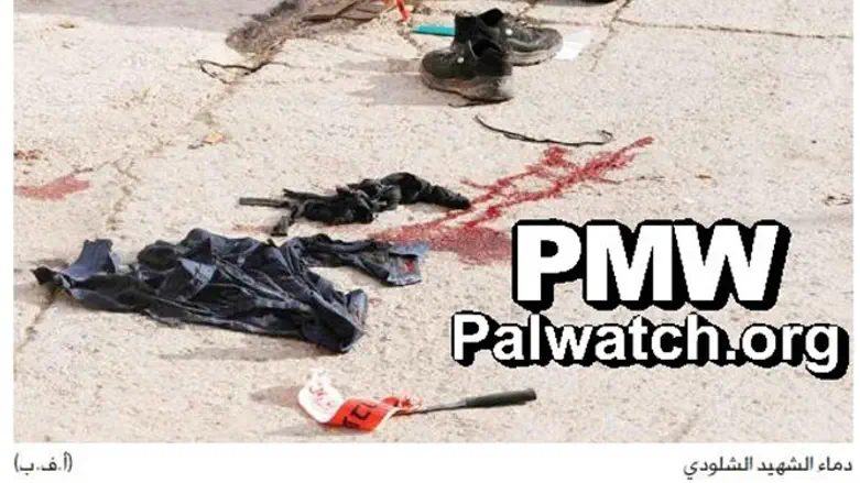 Knife used by terrorist