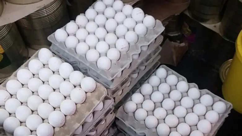 ביצים מוברחות