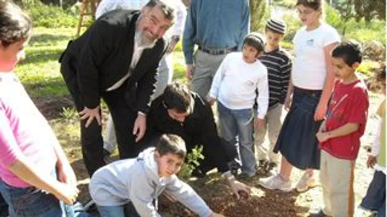 מסיקה עם דנון ובנו