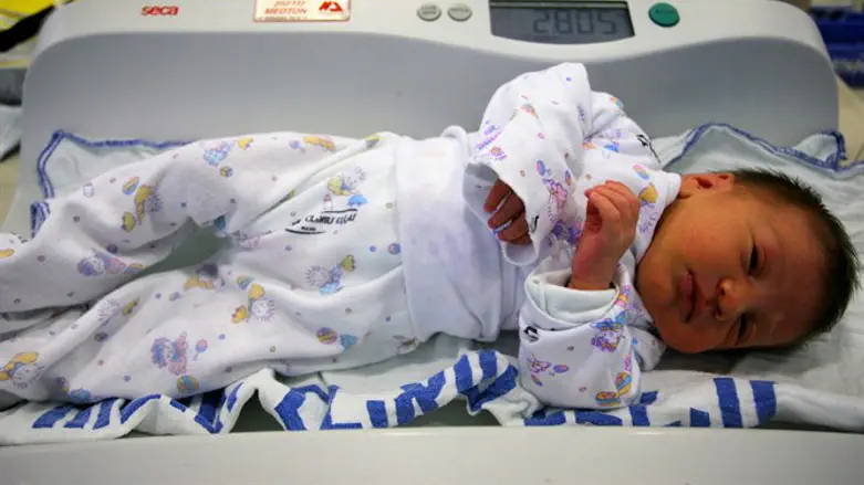 שוקל את המשך צעדיו. (למצולם ולמשקלו אין קשר לטור)