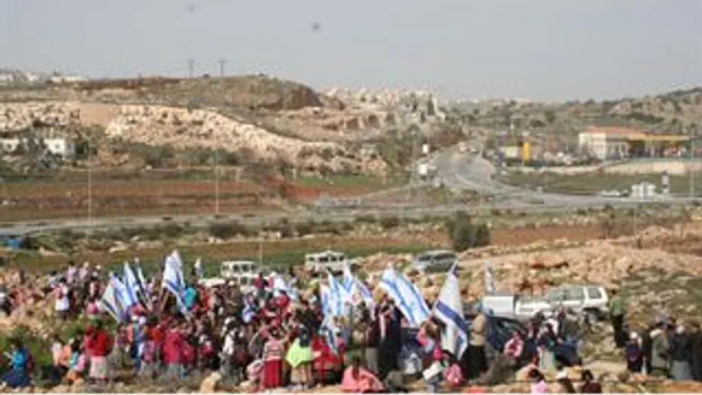 המתנחלים נטעו