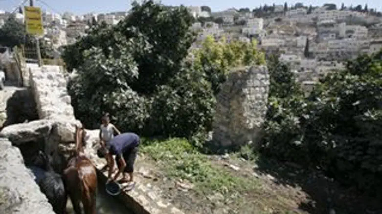 הבטחות לחוד. ברקת במזרח העיר