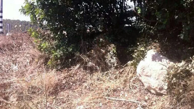 אחד השקים שנתפסו בכרם הענבים