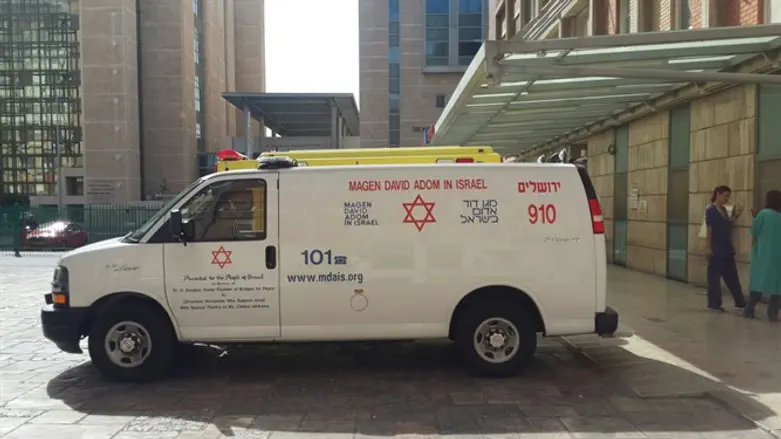 הדסה עין כרם