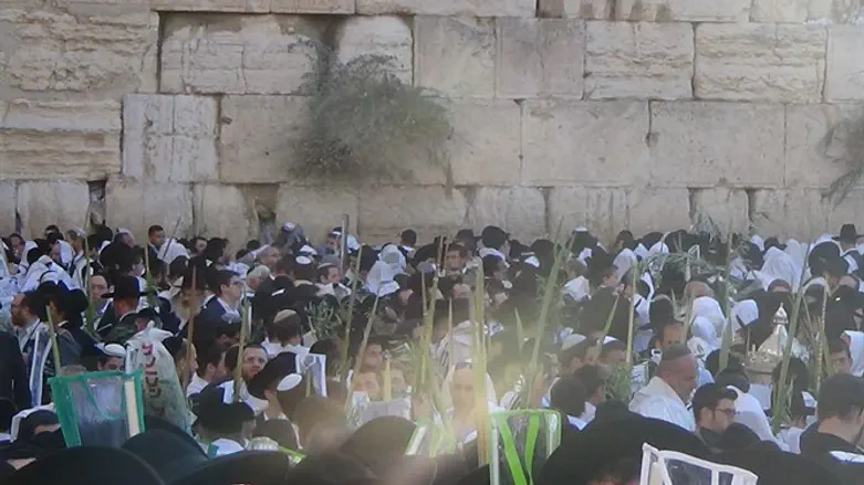 Молитва ватикин у Западной Стены
