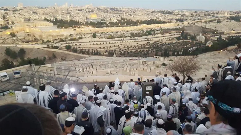 Молитва с видом на Храмовую гору